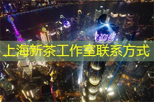 爱上海同城对对碰：吉祥二宝双胆必下张萍委员：“低空经济”应融入大众生活