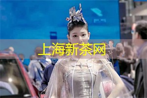 上海龙凤419：上海后花园的魅力无法抗拒，你敢来一场探险吗？